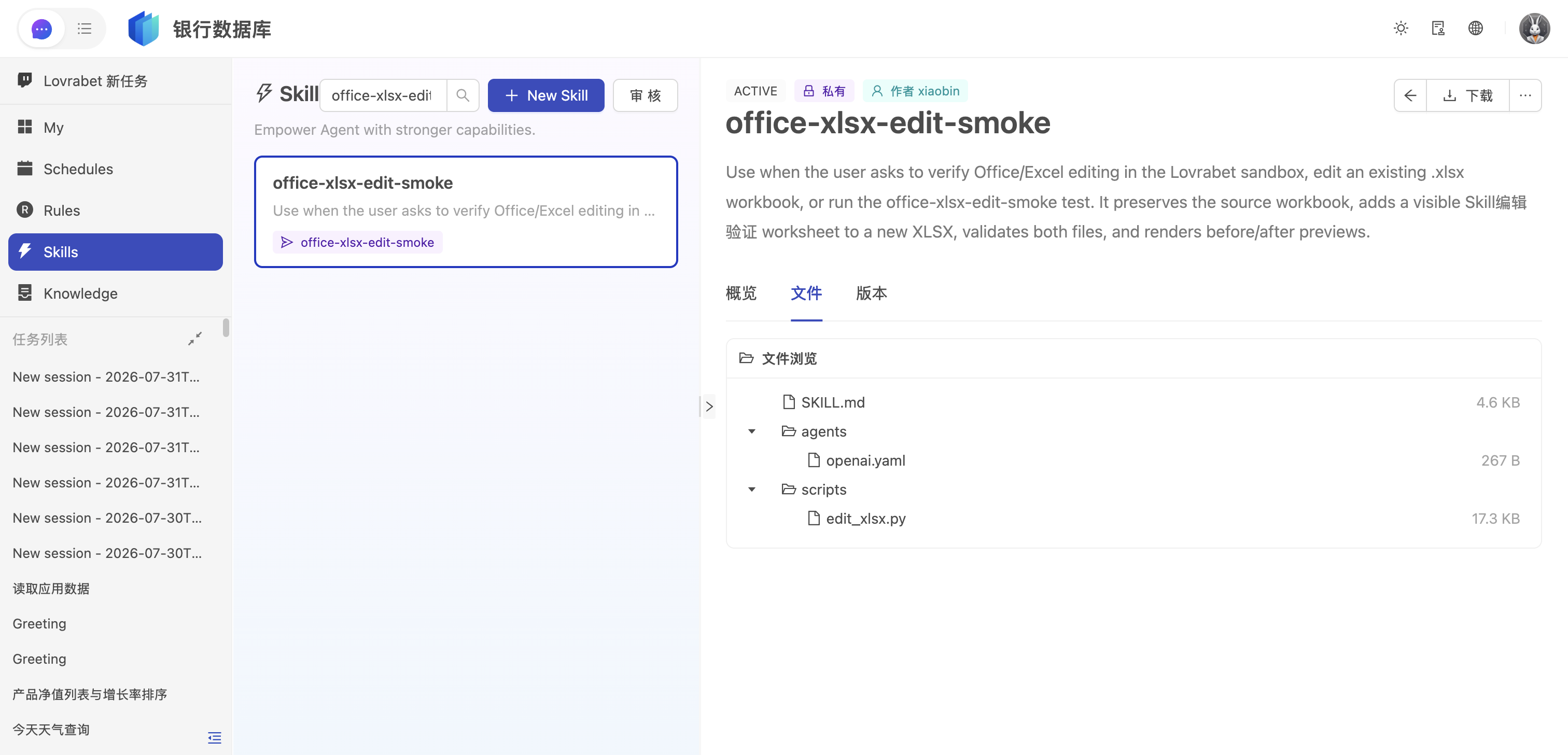 在 Skill 详情中检查一起发布的文件