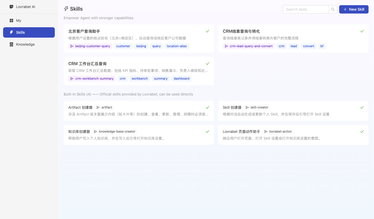 运行态 Skill 入口